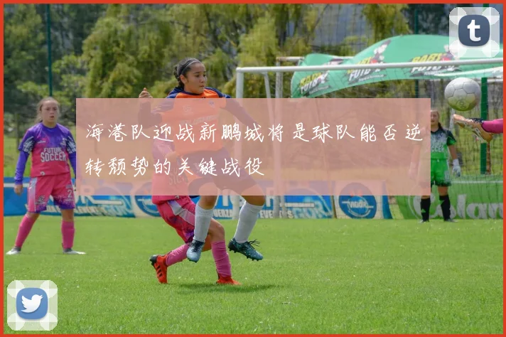 海港队迎战新鹏城将是球队能否逆转颓势的关键战役