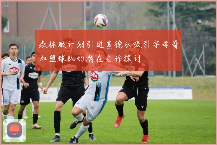 森林狼计划引进基德以吸引字母哥加盟球队的潜在合作探讨
